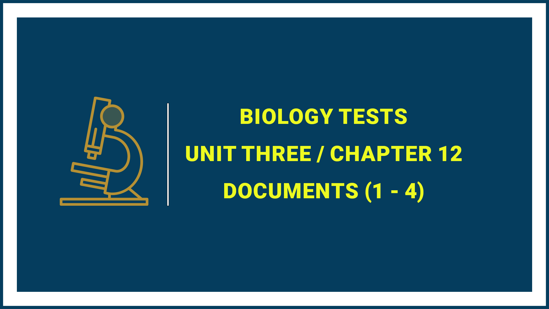 Unit Three: Chapter 12 (Documents 1 - 4)